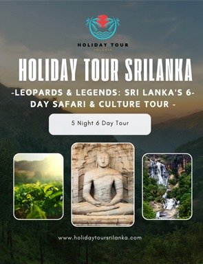 Leopards & Legends: Sri Lanka's 6-Day Safari & Culture Tour - 6 Days Tour